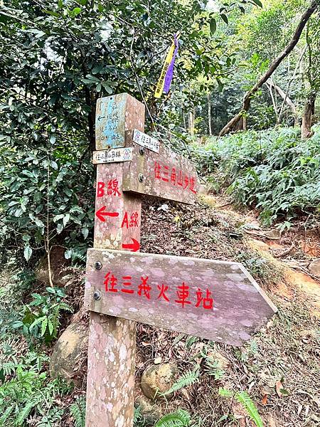 苗栗三員縱走►客家大院賞桐花►苗栗可靠火車接駁入門郊山縱走路