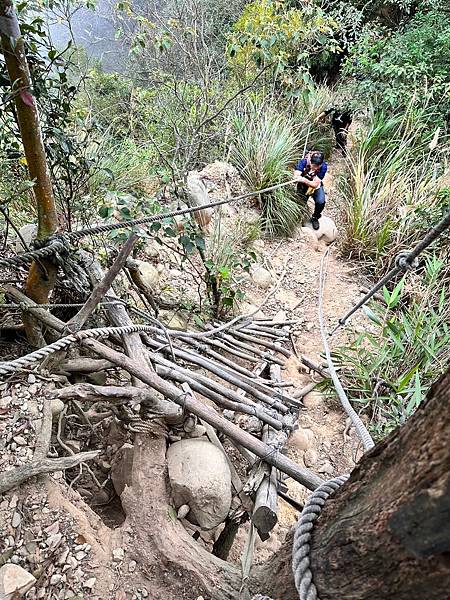 苗栗三員縱走►客家大院賞桐花►苗栗可靠火車接駁入門郊山縱走路