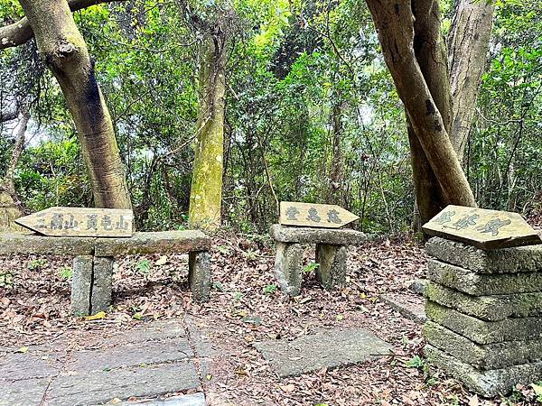 苗栗三員縱走►客家大院賞桐花►苗栗可靠火車接駁入門郊山縱走路