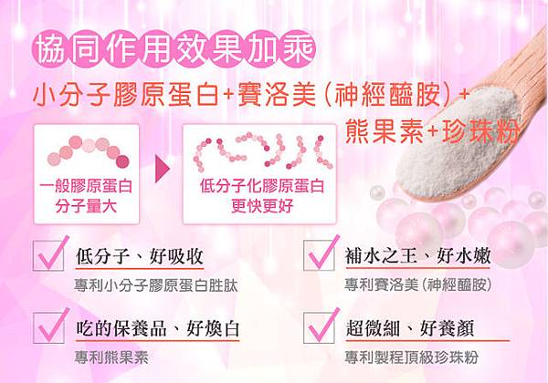 1088629845_l 試用