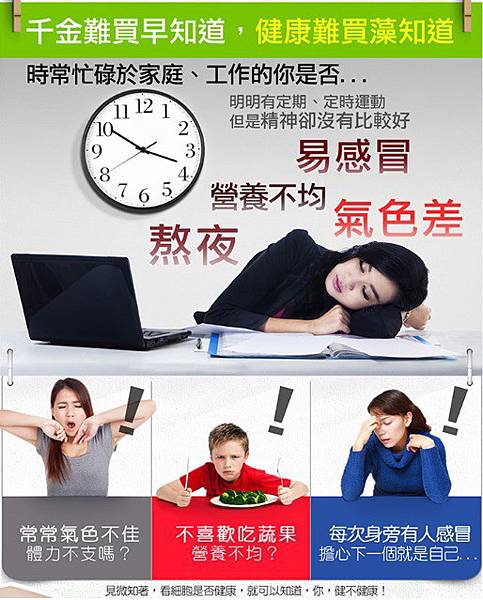 144402314617 試用