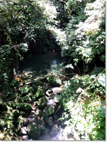 嘉義梅山必遊景點》仙人堀步道秘境》阿里山國家風景區》自然生態