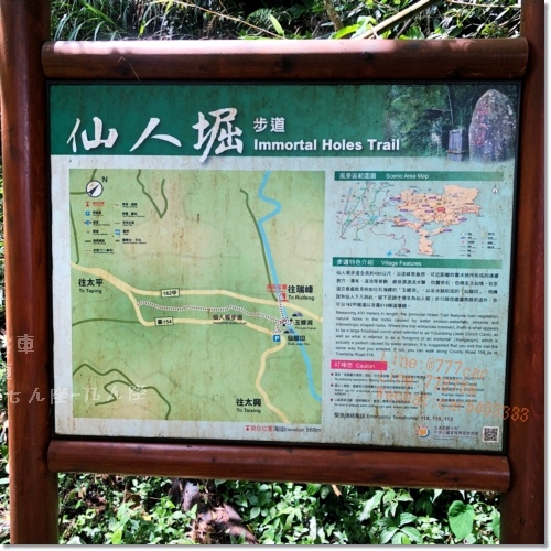 嘉義梅山必遊景點》仙人堀步道秘境》阿里山國家風景區》自然生態