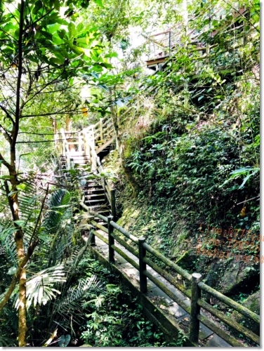 嘉義梅山必遊景點》仙人堀步道秘境》阿里山國家風景區》自然生態