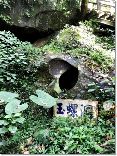 嘉義梅山必遊景點》仙人堀步道秘境》阿里山國家風景區》自然生態