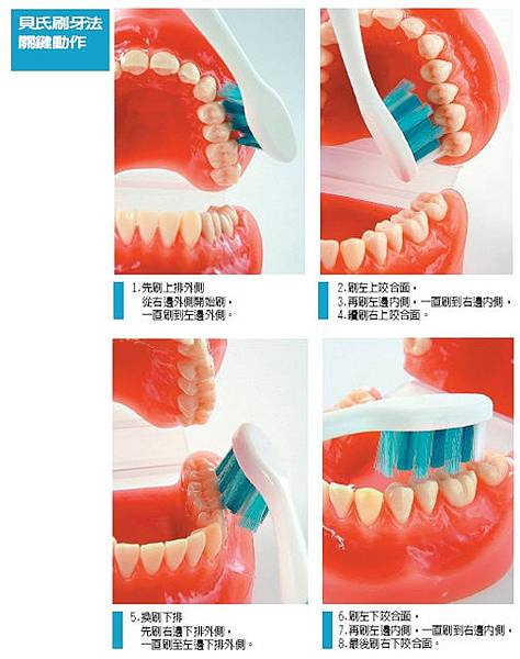 貝氏刷牙法