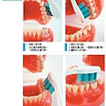 貝氏刷牙法