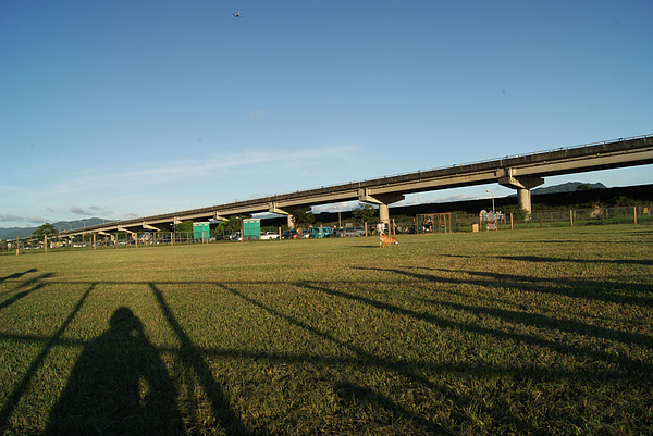 990718狗運動公園(50)04.jpg