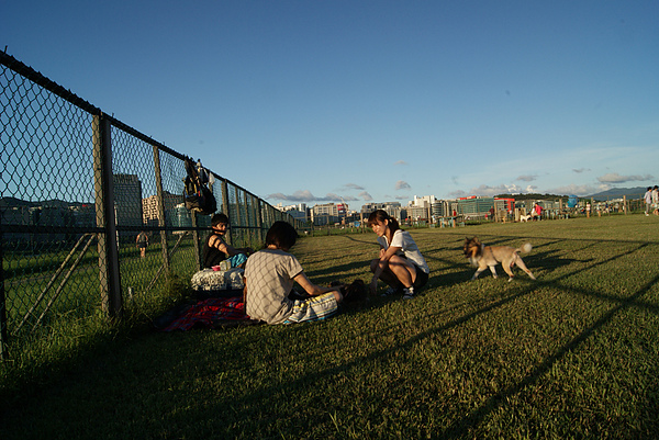 990718狗運動公園(50)03.jpg