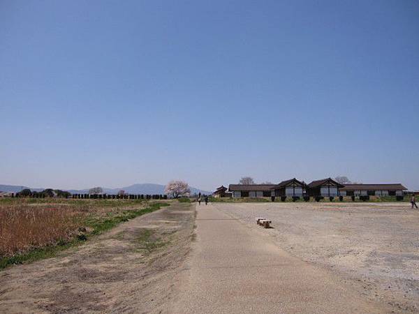 平城宮跡這附近的地都很廣