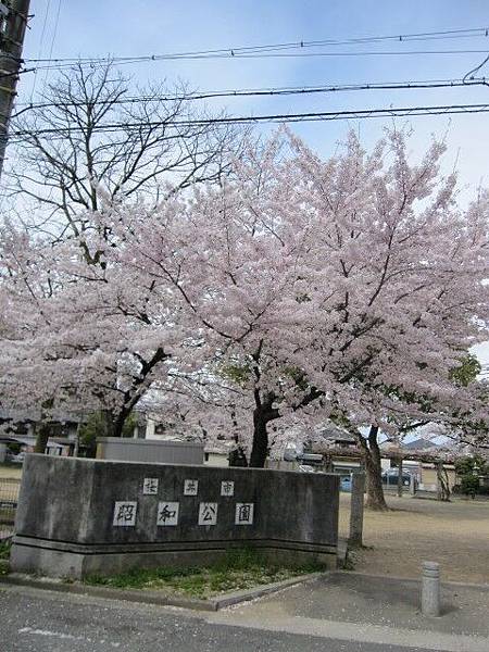 昭和公園