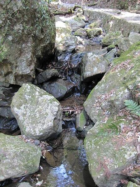 路上有遇到幾位登山客走下來