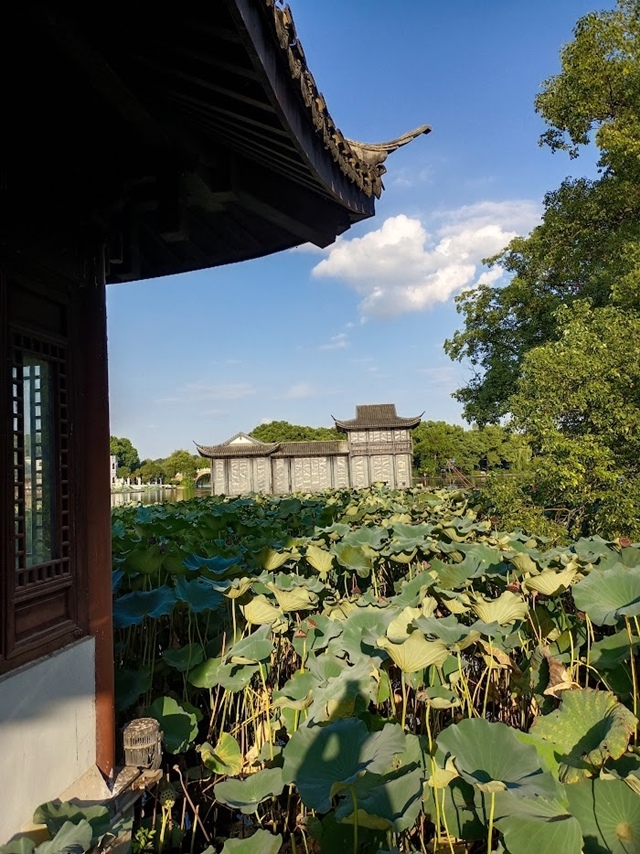 出門去上海 - 麯院風荷