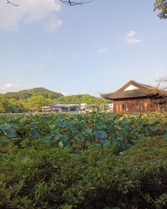 出門去上海 - 麯院風荷