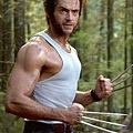 wolverine