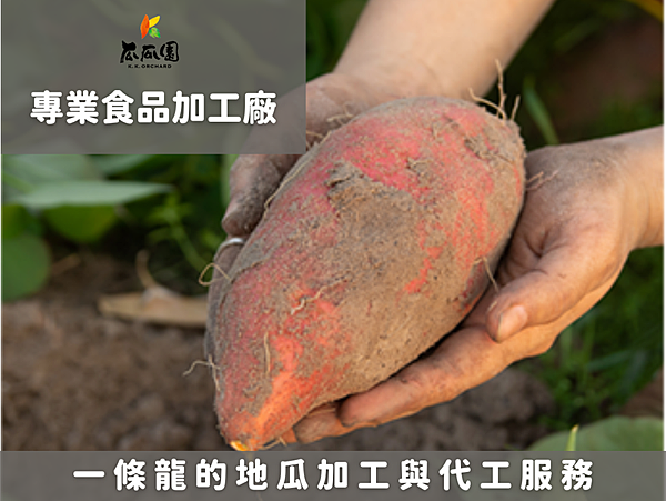 食品加工廠推薦｜瓜瓜園，一條龍的地瓜加工與代工服務！