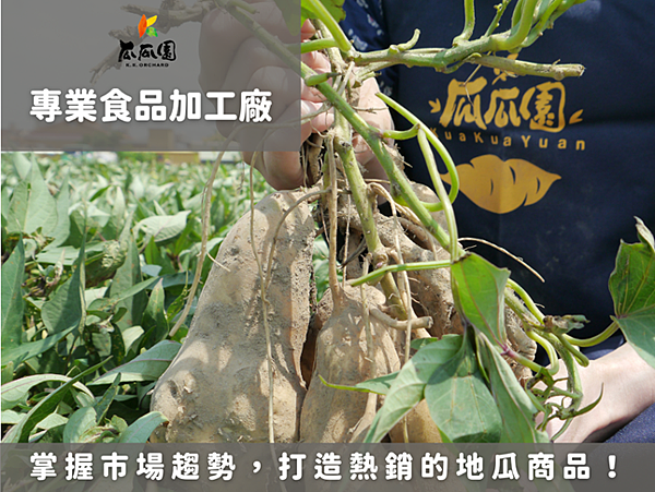 食品加工廠推薦｜掌握市場趨勢，打造熱銷的地瓜商品！