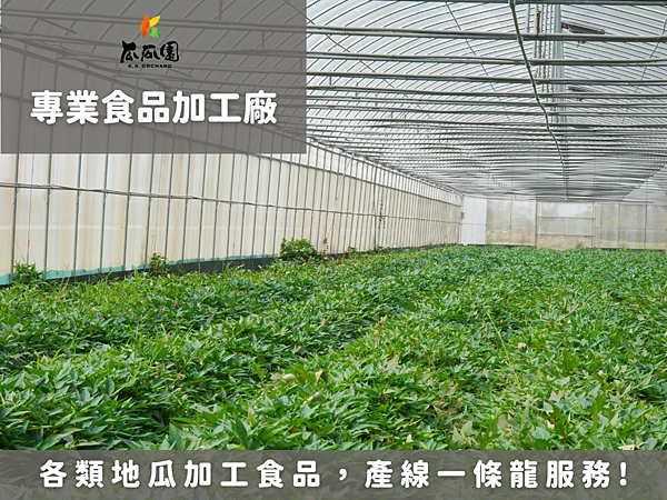 食品加工廠推薦｜各類地瓜加工食品，產線一條龍服務！