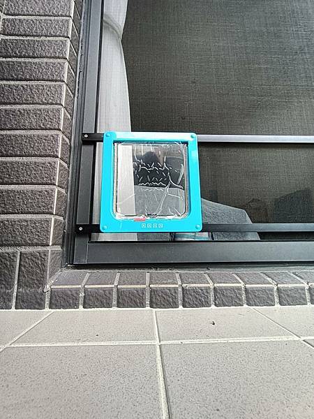 紗窗貓門(藍色)