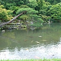 天龍寺庭園