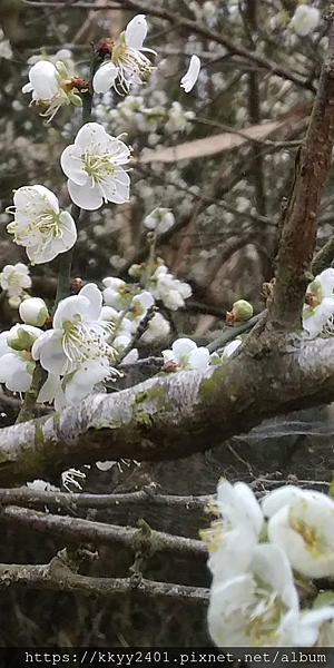 Screenshot_20191228-172022.png Screenshot_20191228-172022.png