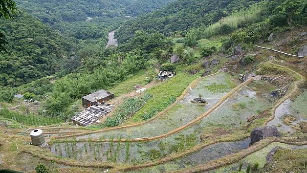 104537.jpg 104537.jpg