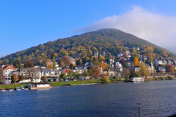 DSC_09119.jpg DSC_09119.jpg
