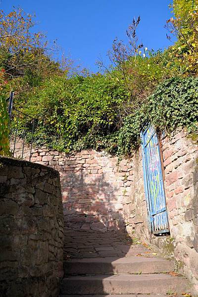 DSC_09304.jpg DSC_09304.jpg