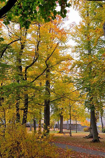 DSC_09439.jpg DSC_09439.jpg