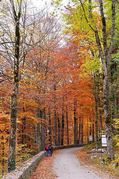 DSC_09681.jpg DSC_09681.jpg