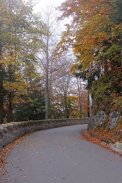 DSC_09745.jpg DSC_09745.jpg