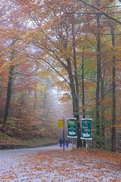 DSC_09813.jpg DSC_09813.jpg