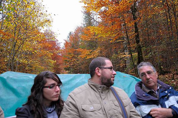 DSC_09817.jpg DSC_09817.jpg