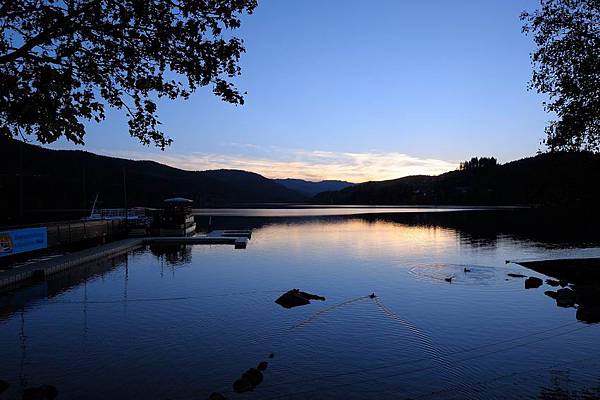 DSC_09984.jpg DSC_09984.jpg