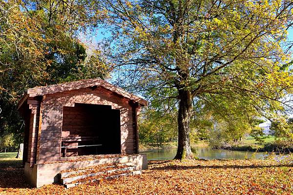 DSC_10460.jpg DSC_10460.jpg