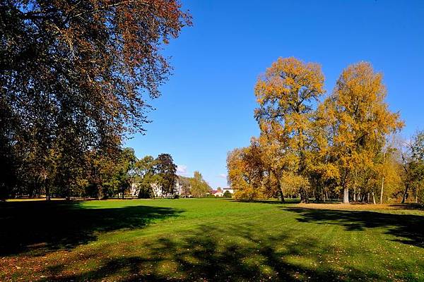 DSC_10545.jpg DSC_10545.jpg