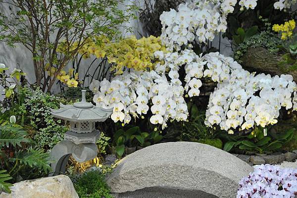 雨中花博100.JPG 雨中花博100.JPG