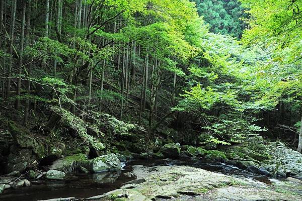 日本出差記行0176-三重赤目四十八.JPG