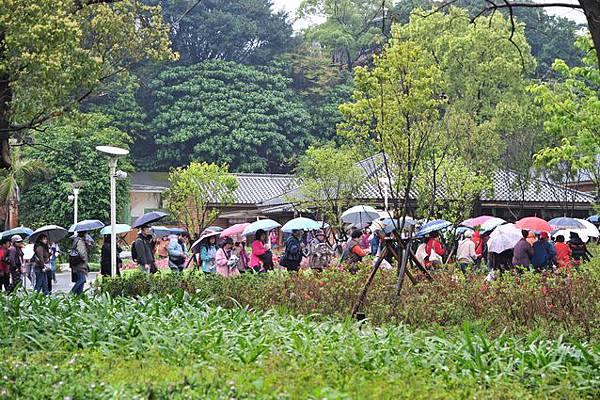 雨中花博004.JPG 雨中花博004.JPG