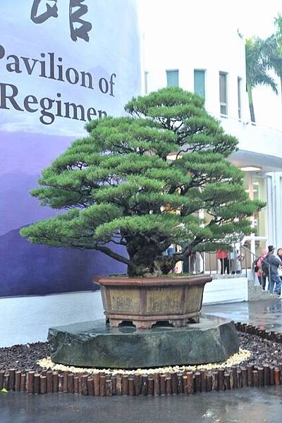 雨中花博193.JPG 雨中花博193.JPG