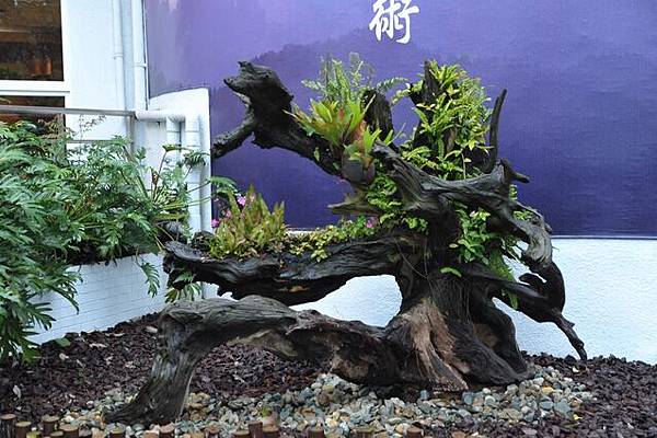 雨中花博194.JPG 雨中花博194.JPG