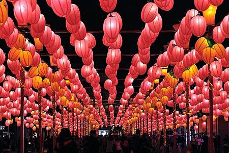 台灣燈會在苗栗006.jpg 台灣燈會在苗栗006.jpg
