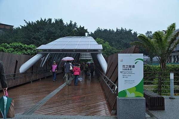 雨中花博159.JPG