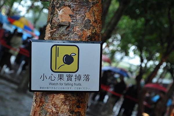 雨中花博201.JPG 雨中花博201.JPG