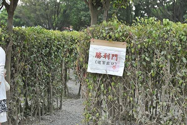 炎熱花博157.JPG 炎熱花博157.JPG