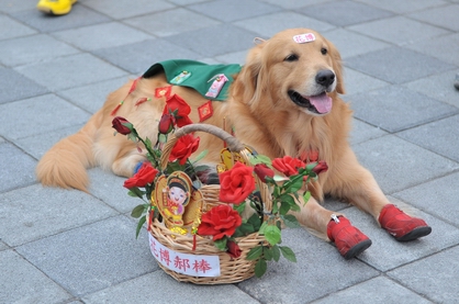 炎熱花博190.JPG 炎熱花博190.JPG