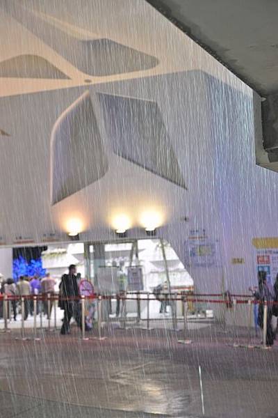 雨中花博286.JPG 雨中花博286.JPG
