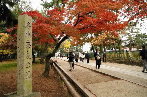 日本出差記行0013-奈良.jpg 日本出差記行0013-奈良.jpg