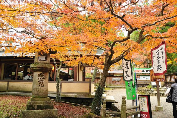 日本出差記行0123-奈良.jpg 日本出差記行0123-奈良.jpg
