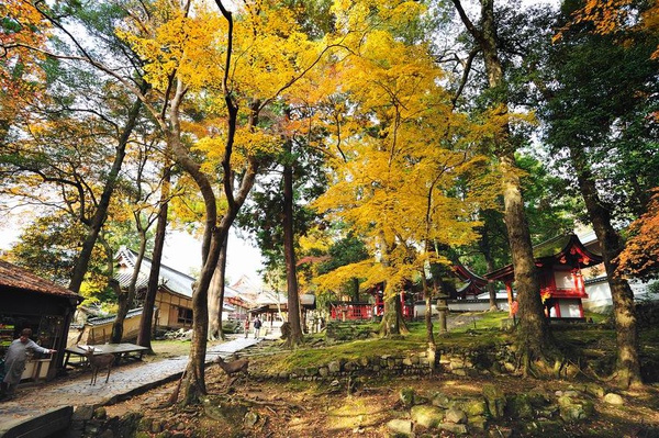 日本出差記行0226-奈良.jpg 日本出差記行0226-奈良.jpg